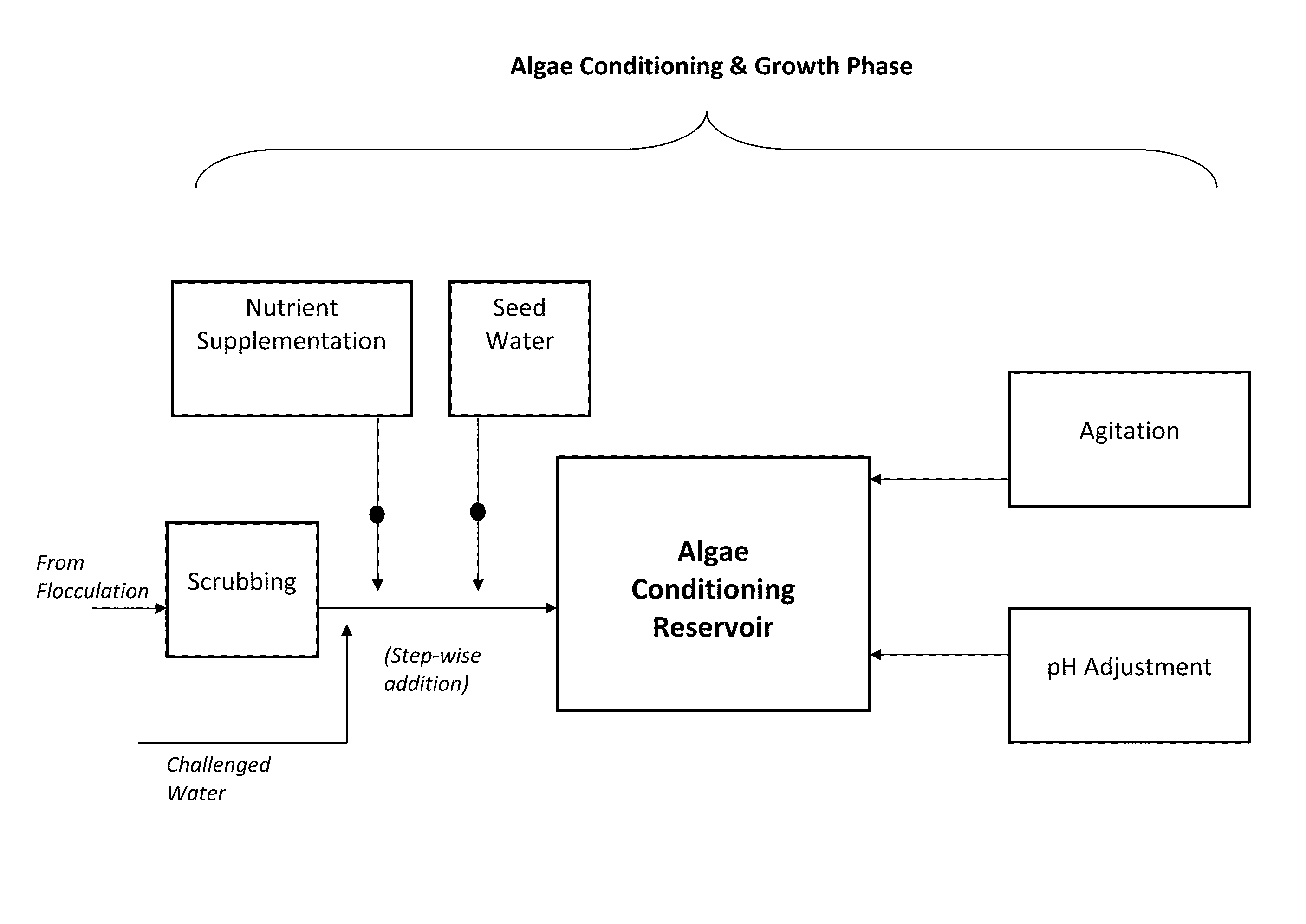 System for algae-based treatment of water