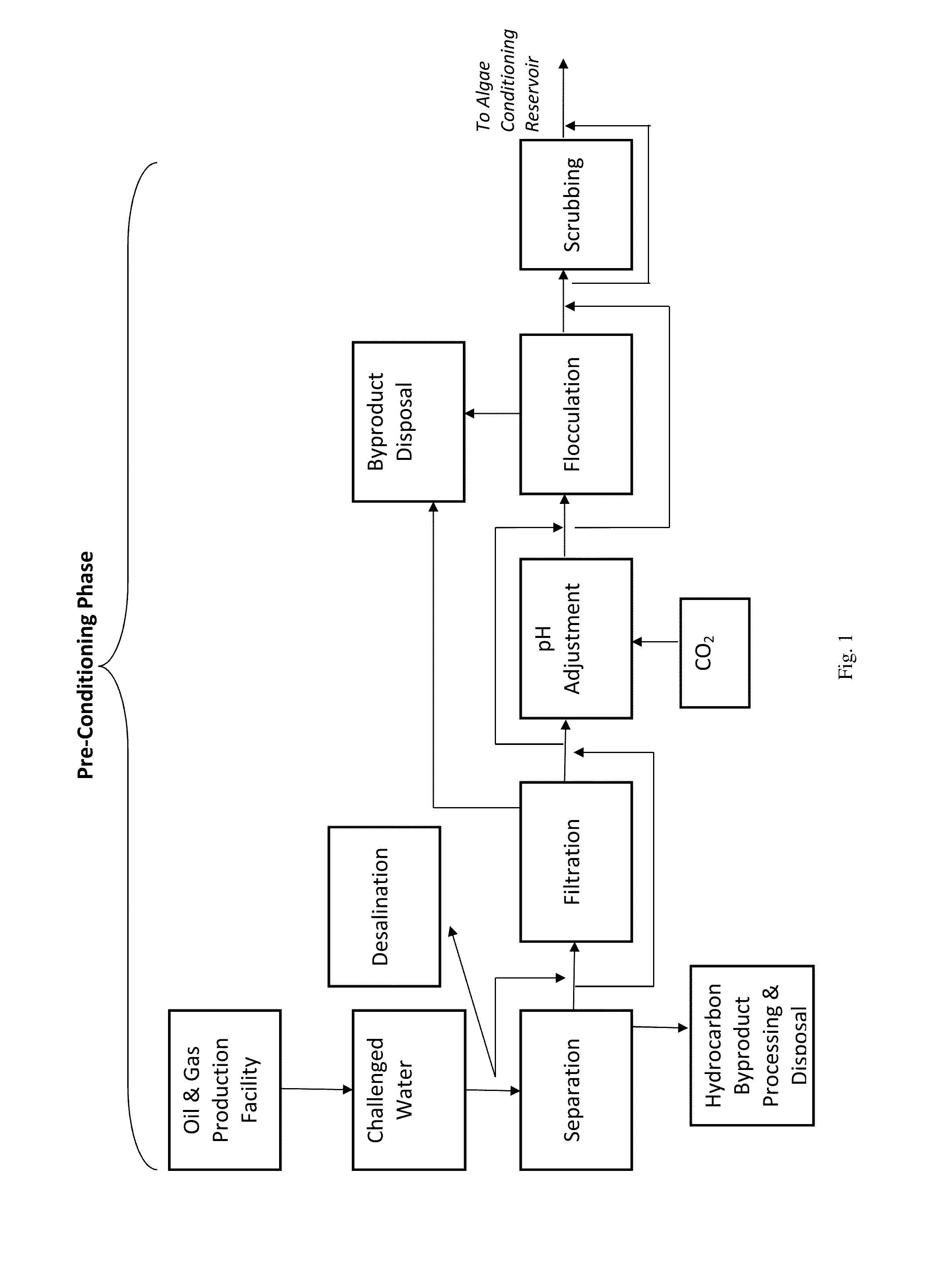 System for algae-based treatment of water