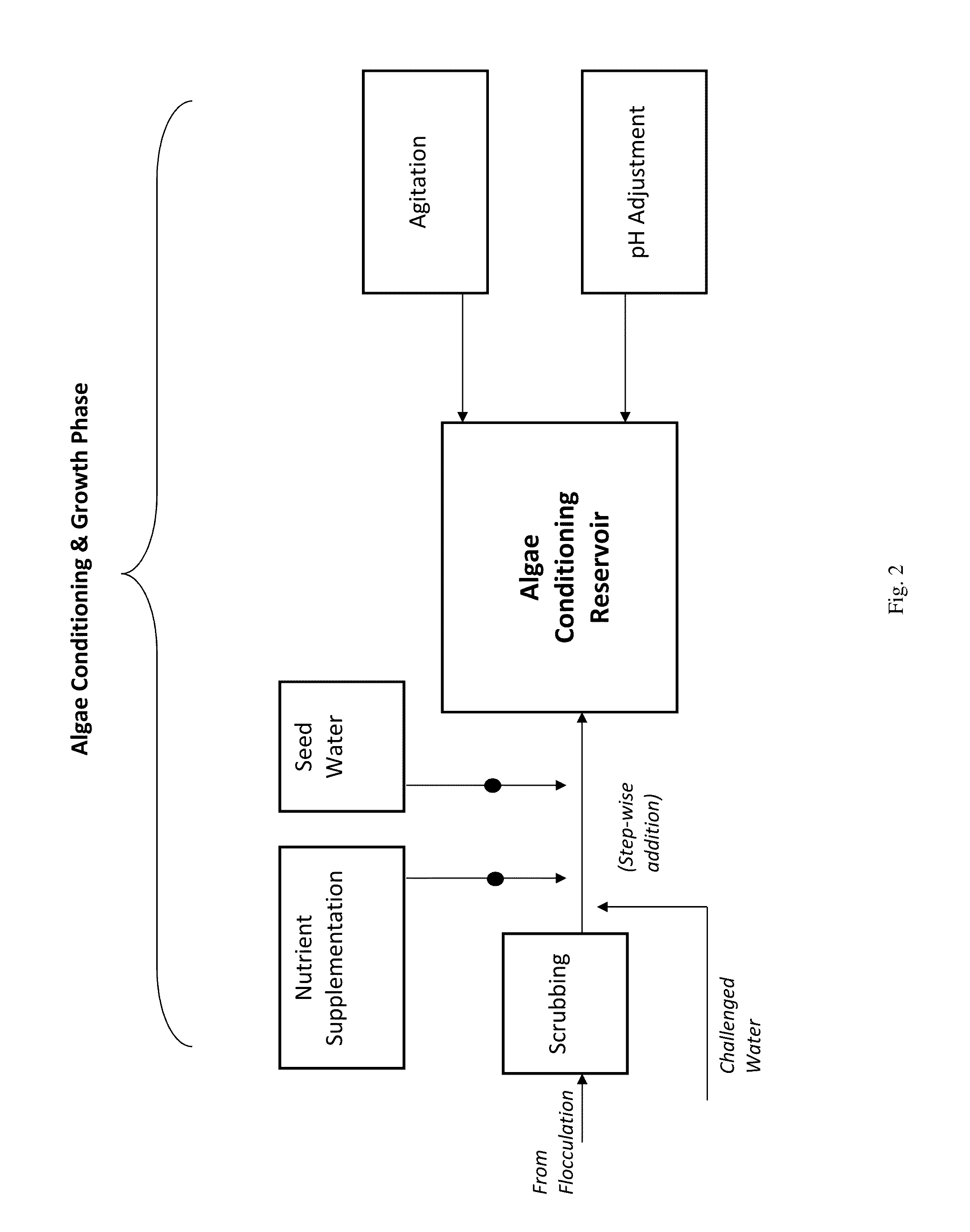 System for algae-based treatment of water