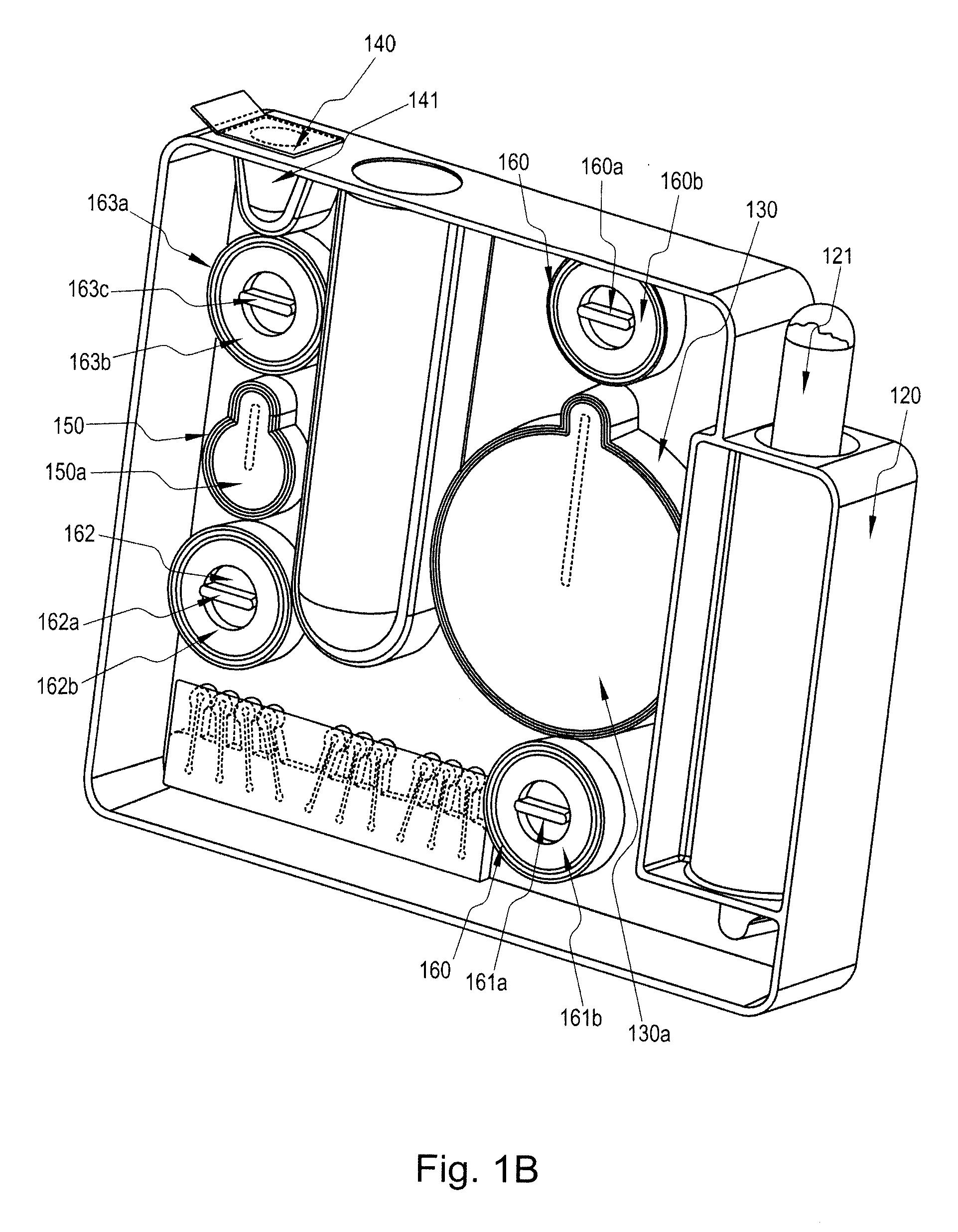 System for isolating biomolecules from a sample