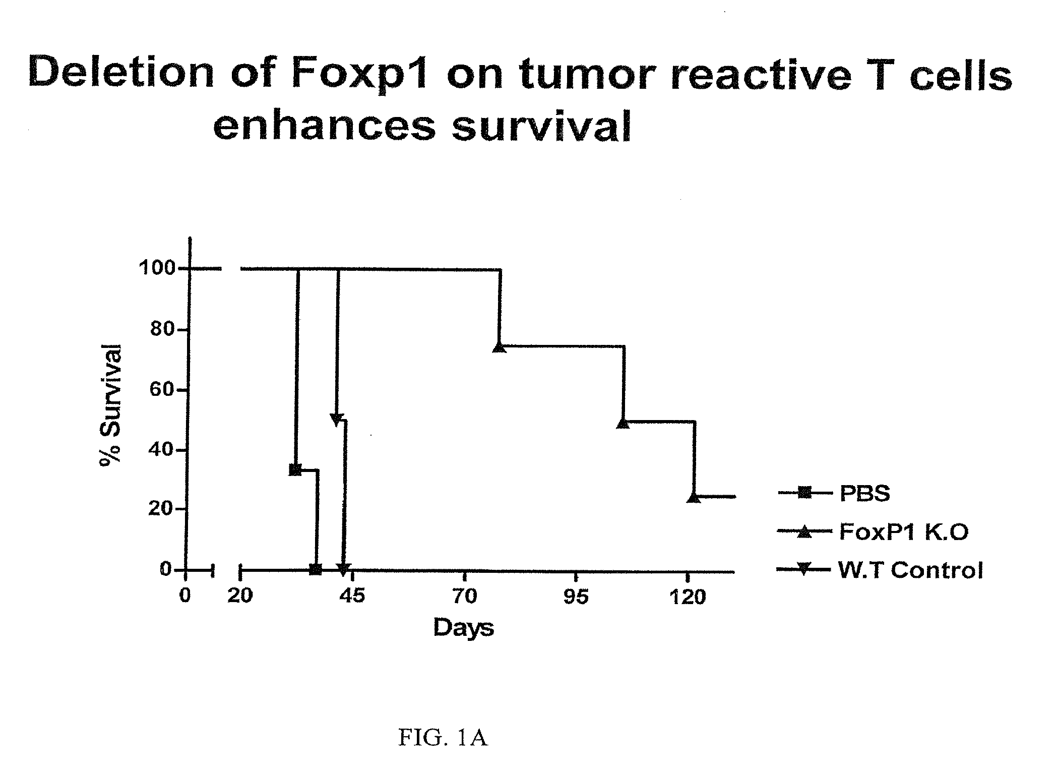 Methods and Compositions for Enhancing the Therapeutic Effect of Anti-Tumor T Cells