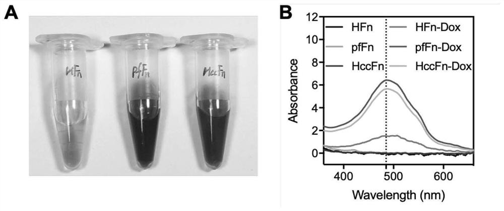 A nano-drug carrier loaded with anti-tumor drugs, its preparation method and application