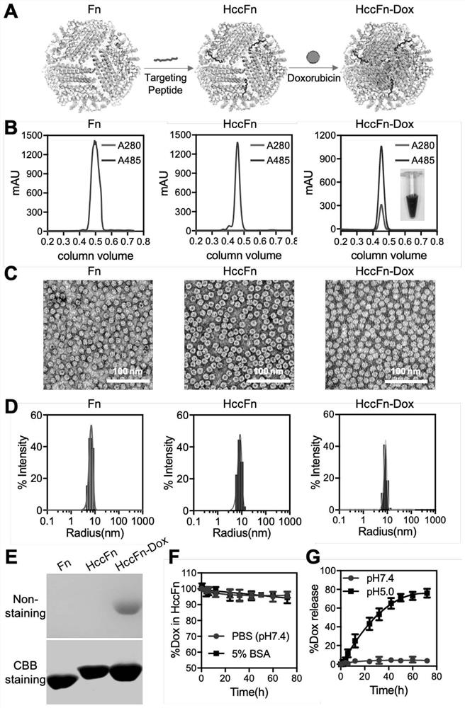 A nano-drug carrier loaded with anti-tumor drugs, its preparation method and application