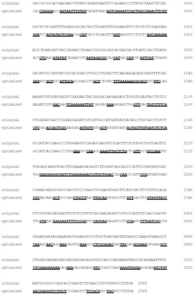 PDE6B nucleotide sequence and use thereof