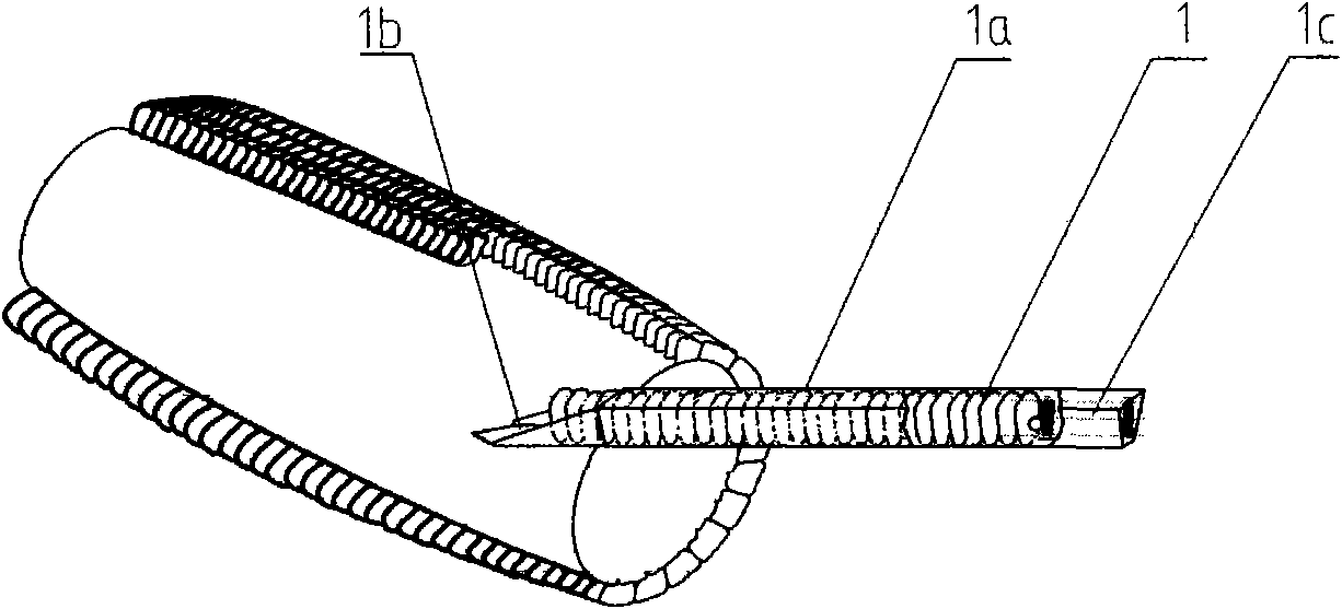 Corn directional seeding method, directional seed block manufacturing equipment and device for seeding seed blocks