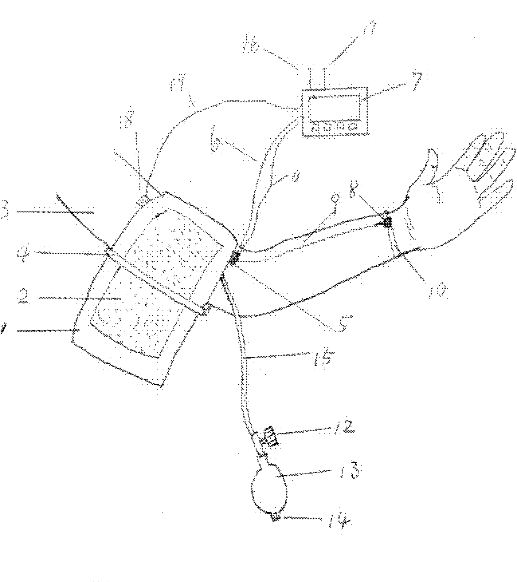 Device and method for detecting blood flow condition