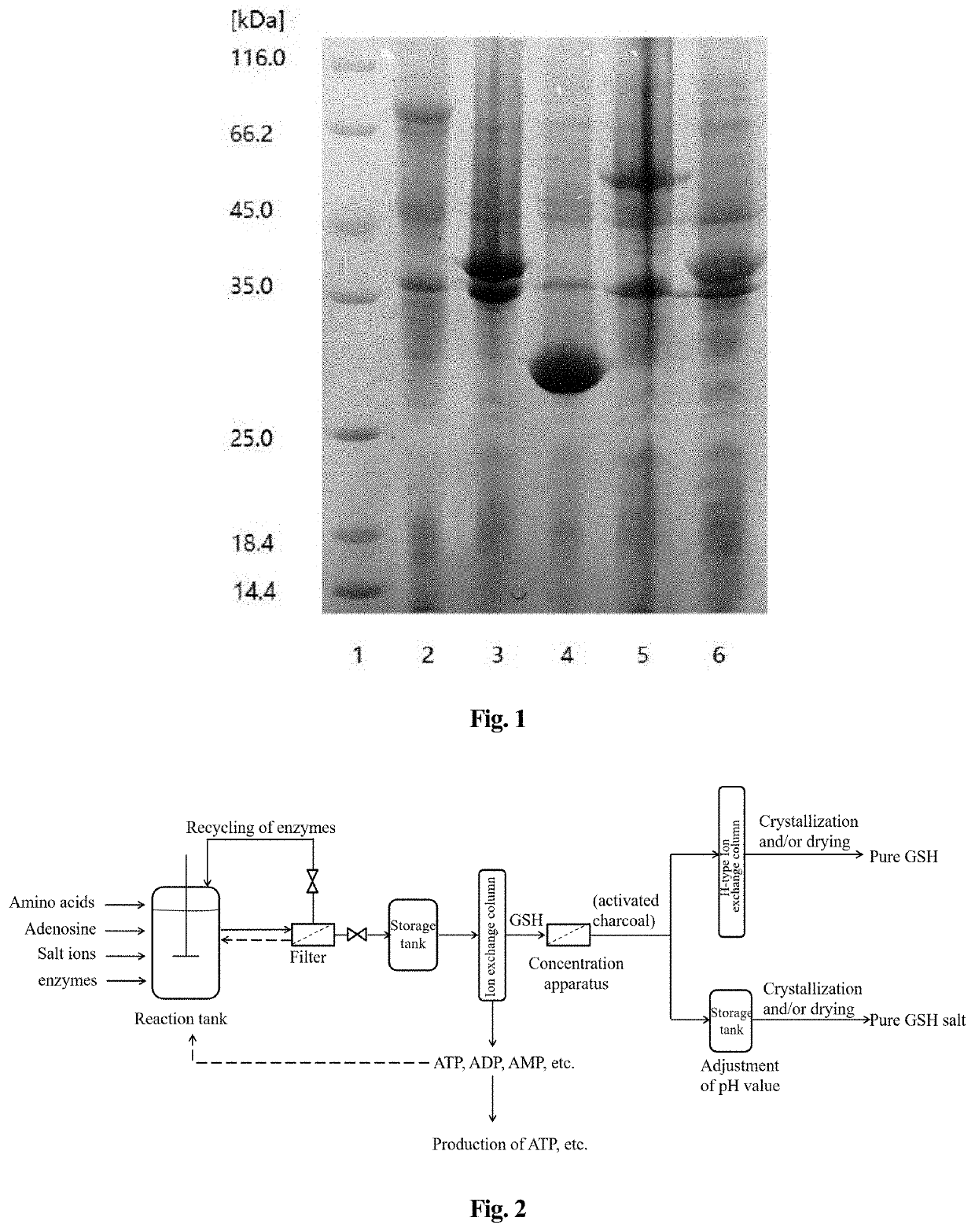 Method for enzymatic preparation of glutathione