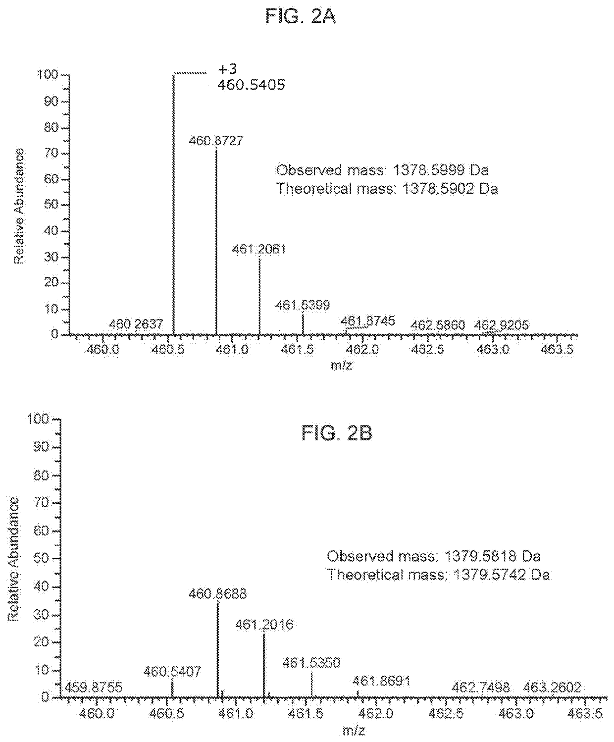 Novel adeno-associated virus (AAV) vectors, aav vectors having reduced capsid deamidation and uses therefor