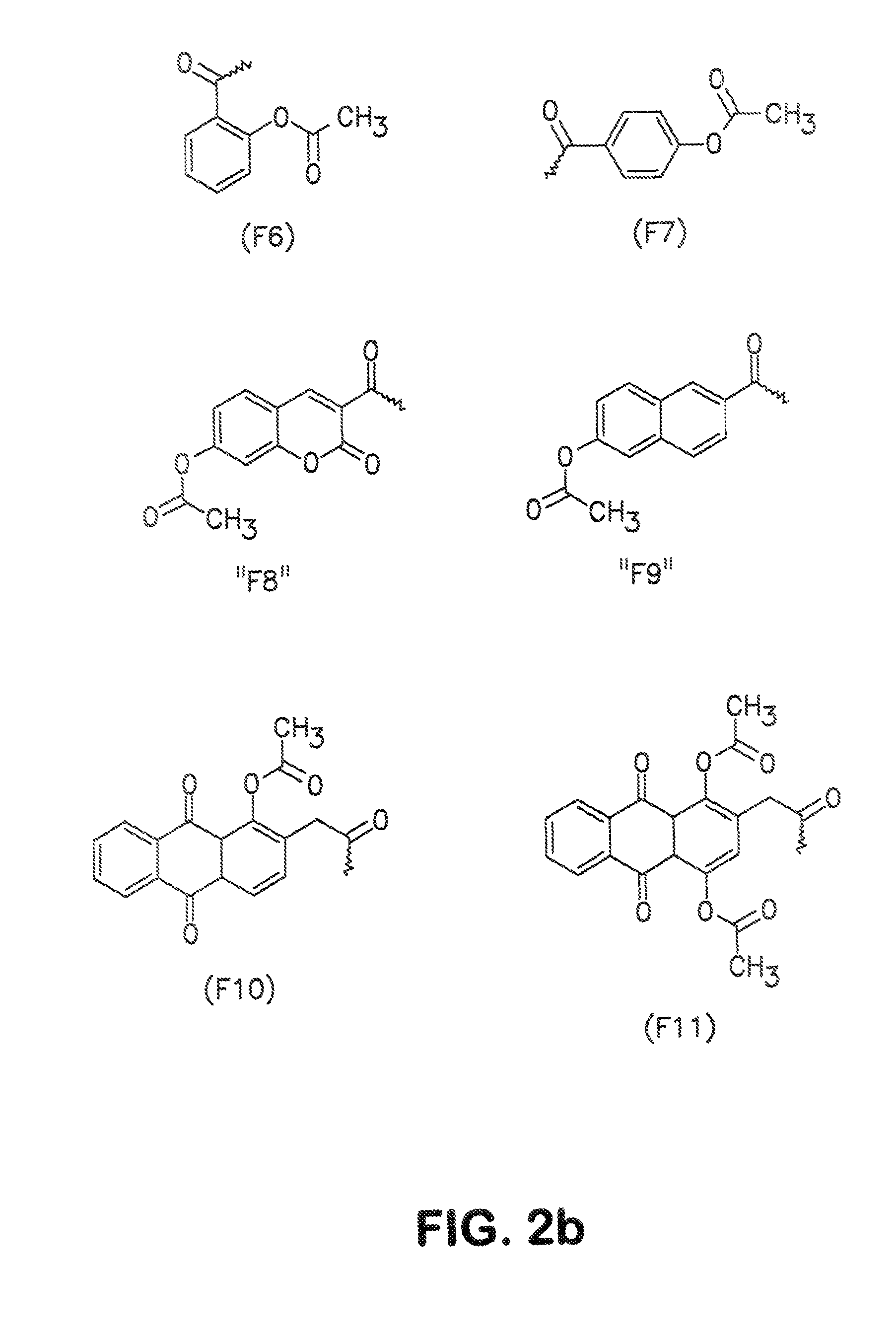 Conjugates and processes for their preparation and their use for transporting molecules across biological membranes