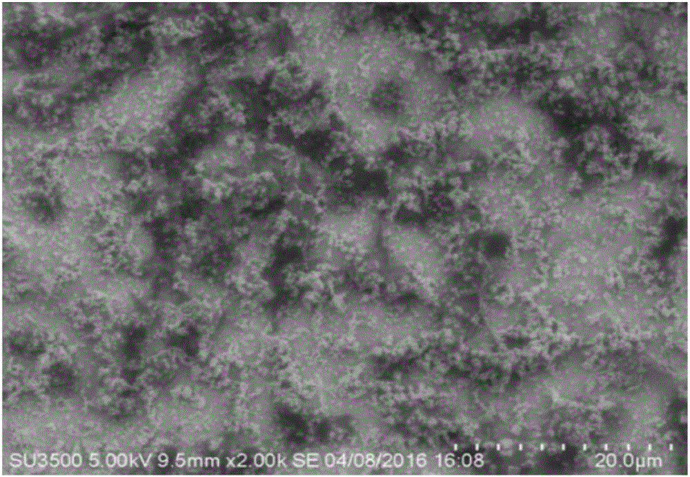 Method for depositing nano-silver in microfluidic channels