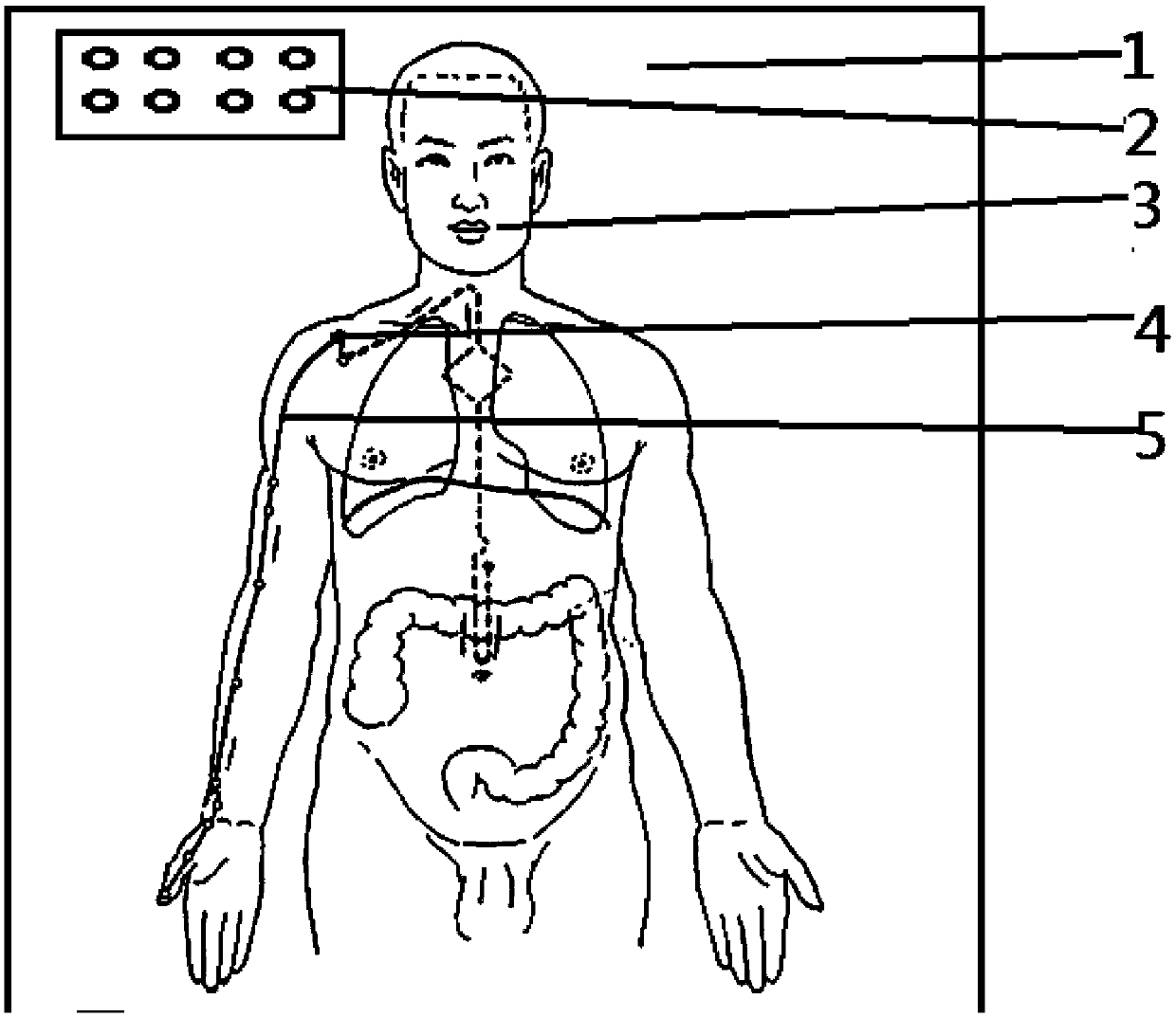 Multifunctional acupuncture three-dimensional teaching model and teaching system thereof