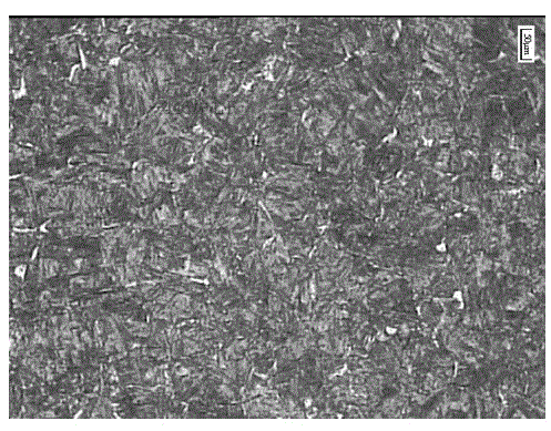 Carburizing method of low-carbon alloy steel