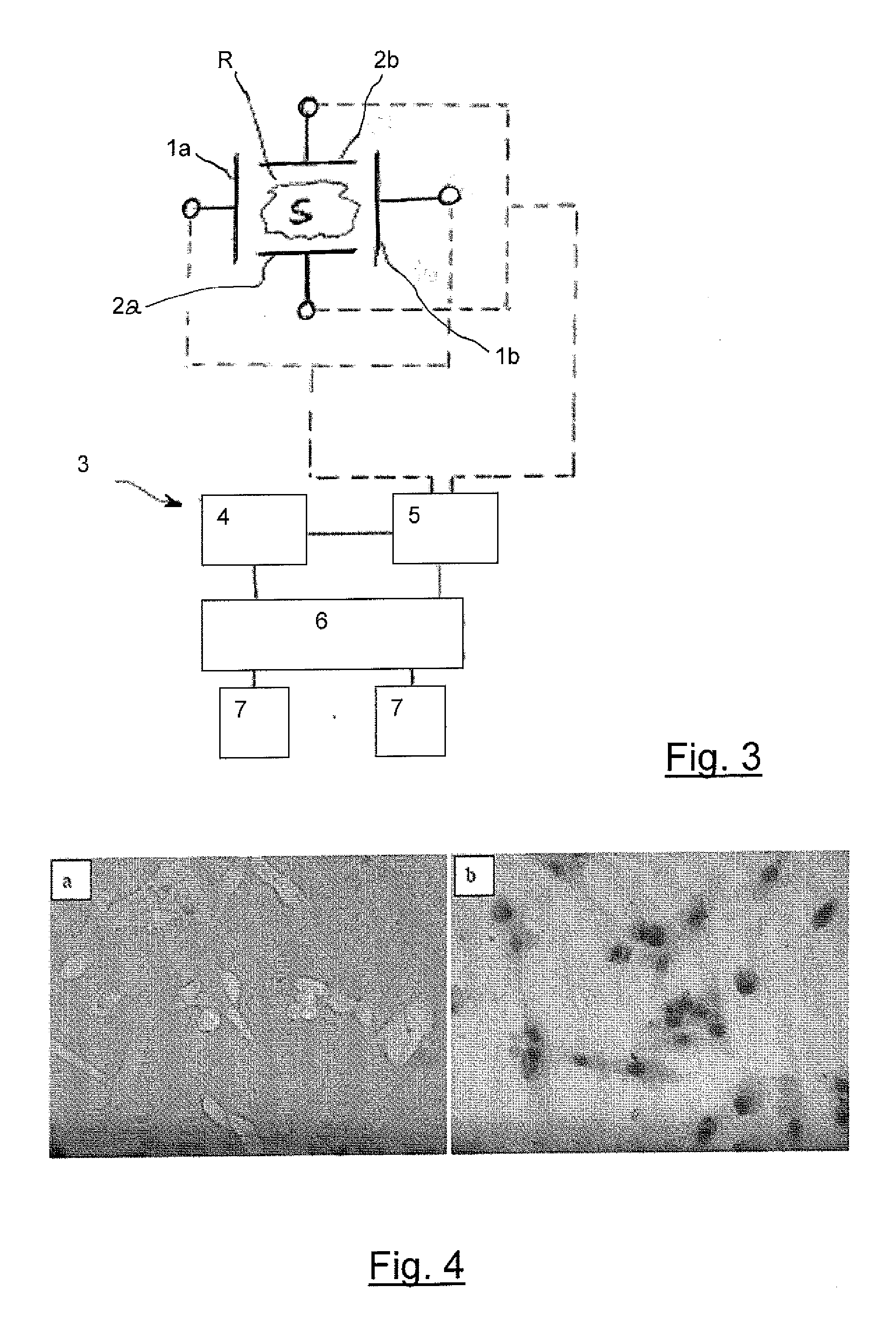 Non invasive method of electroporation mediated by carbon nanotubes and device for putting the method into practice