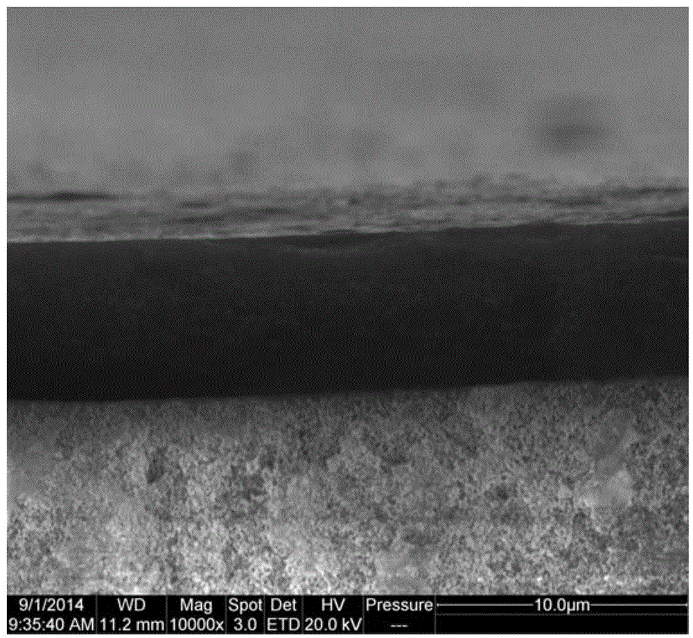 Supported composite carbon molecular sieve membrane