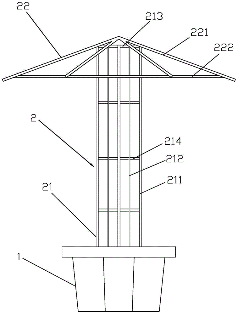 Cultivation method for bougainvil-lea-spp rapid forming