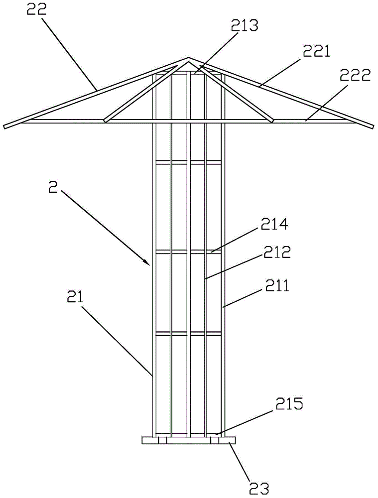 Cultivation method for bougainvil-lea-spp rapid forming