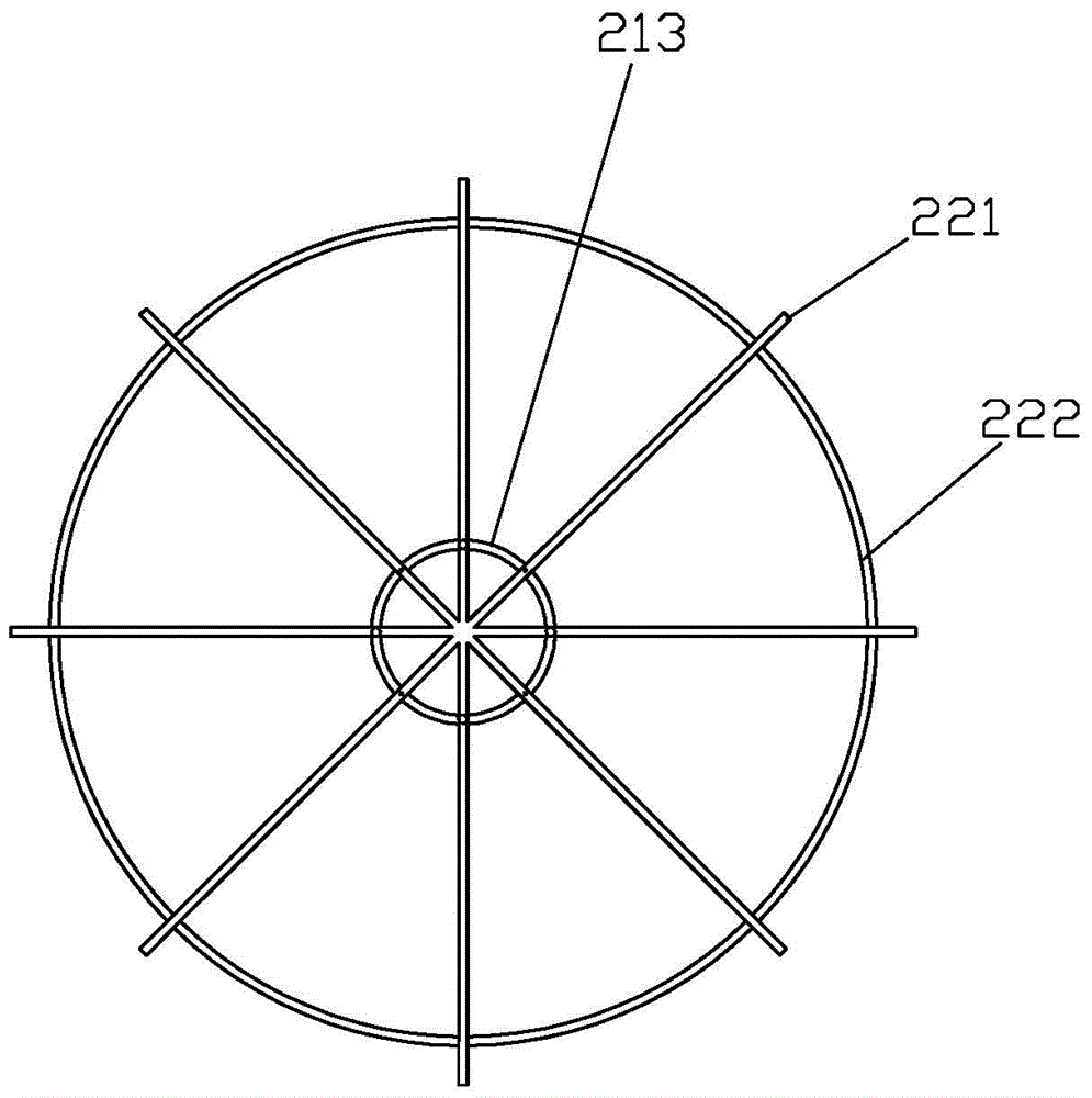 Cultivation method for bougainvil-lea-spp rapid forming