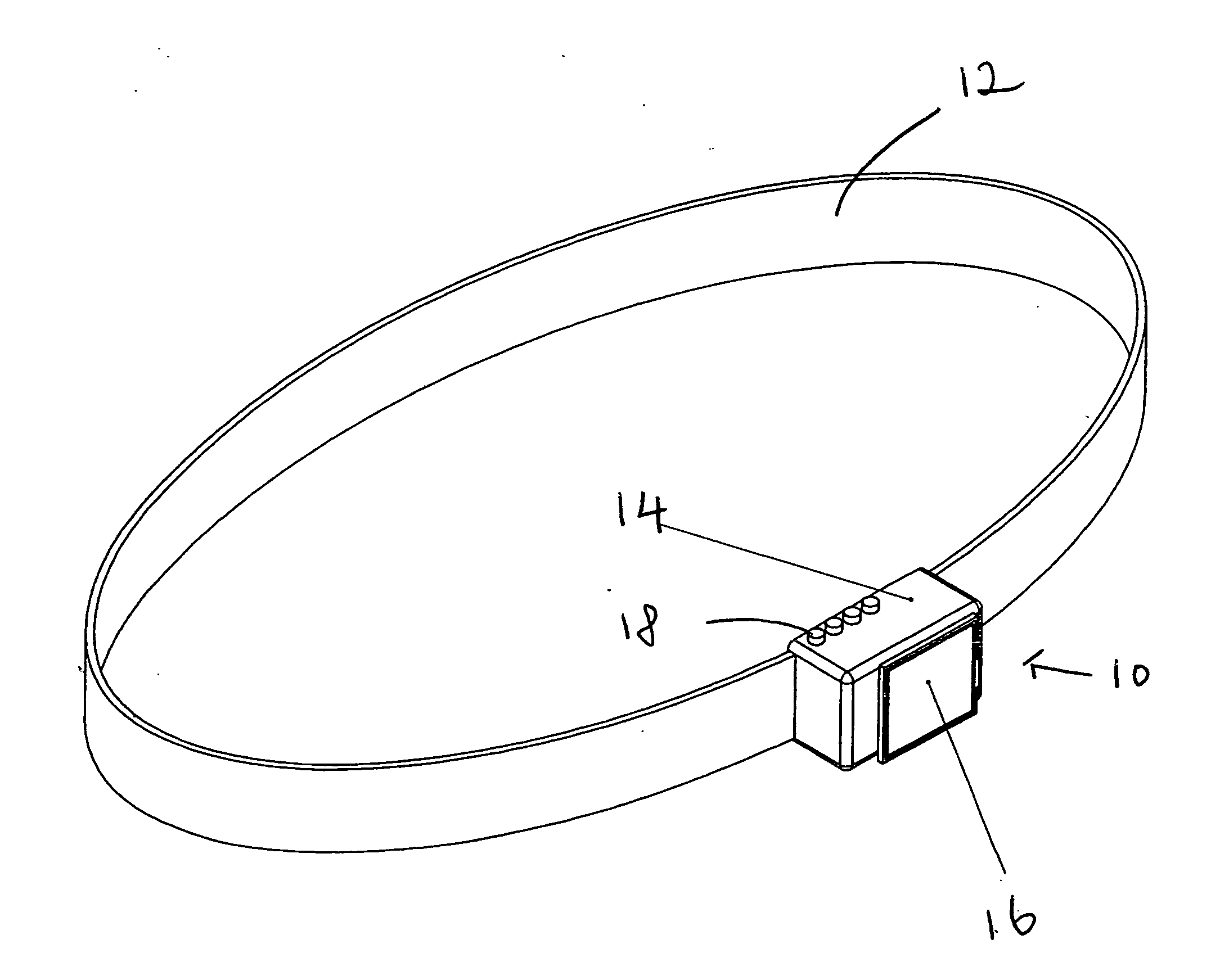 Virtual exerciser device