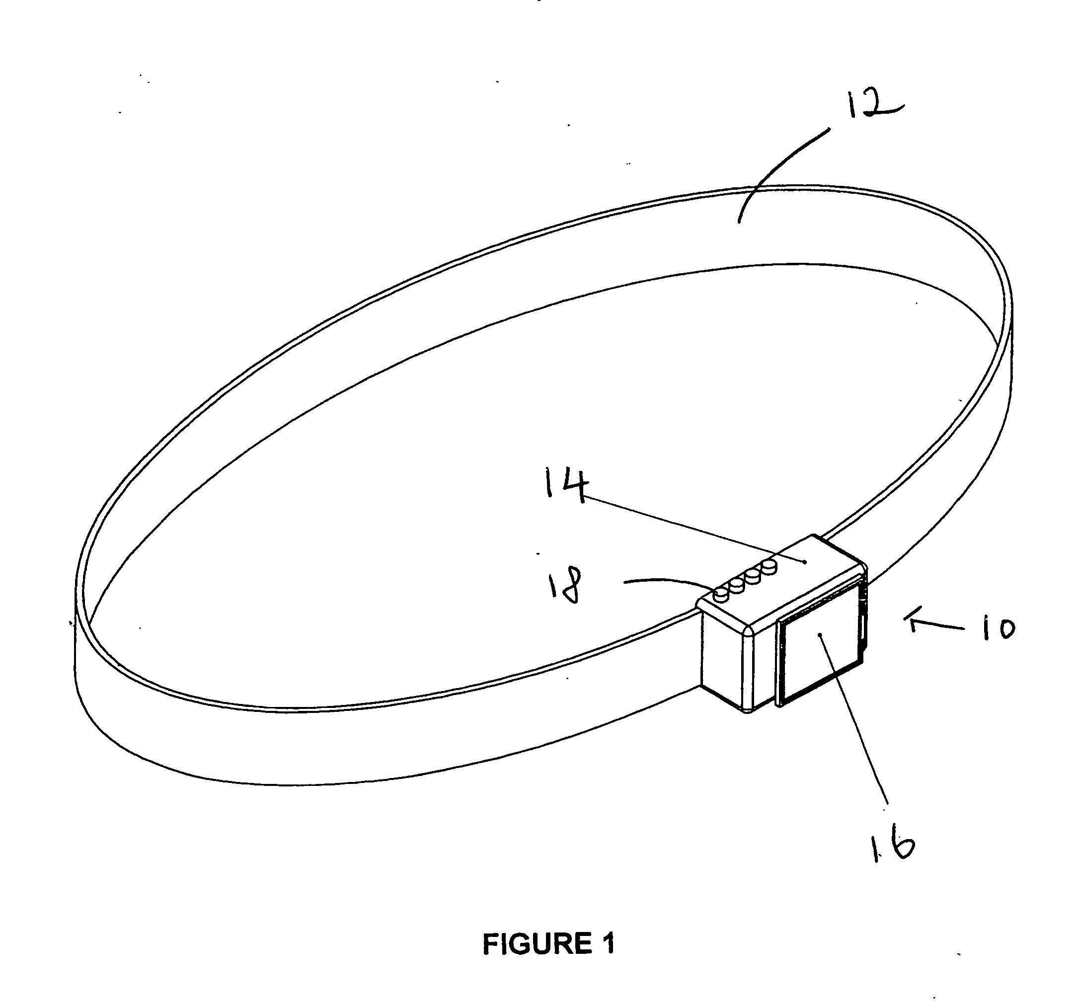 Virtual exerciser device