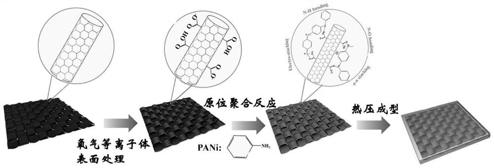 Polyaniline modified carbon fiber composite material as well as preparation method and application thereof