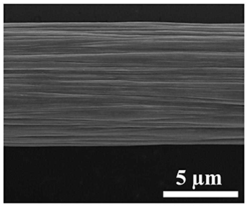 Polyaniline modified carbon fiber composite material as well as preparation method and application thereof