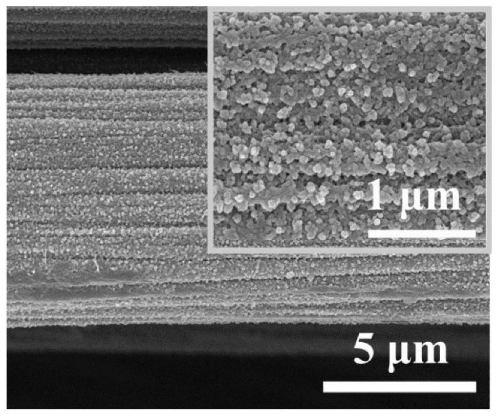 Polyaniline modified carbon fiber composite material as well as preparation method and application thereof