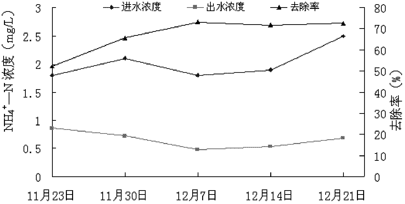 Application of Gonostegia hirta for purifying biogas slurry of livestock and poultry farming