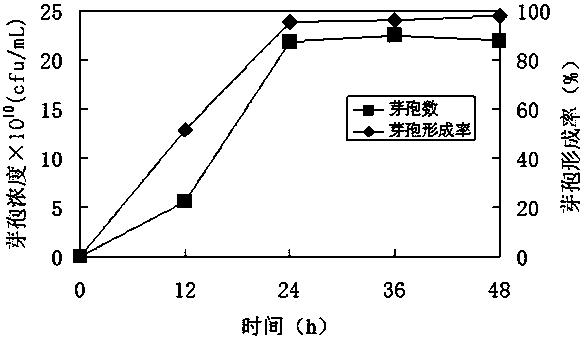 A kind of method utilizing lignocellulose hydrolyzate to produce probiotics