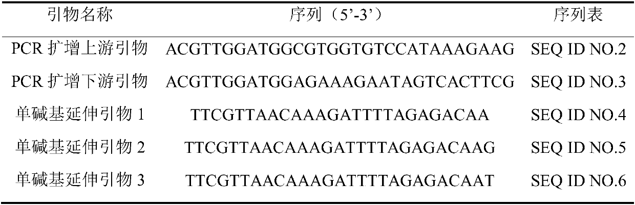 Single-nucleotide polymorphism marker locus, primer pair and kit for identifying single-petal/double-petal traits of peach blossoms and application