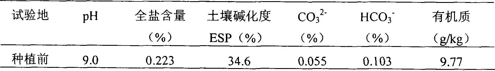 Weathered coal soil salinization modifying agent and preparation method thereof