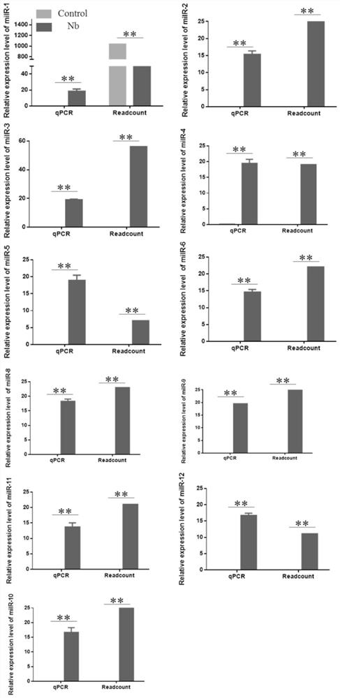 Silkworm microsporidia milRNAs and application thereof