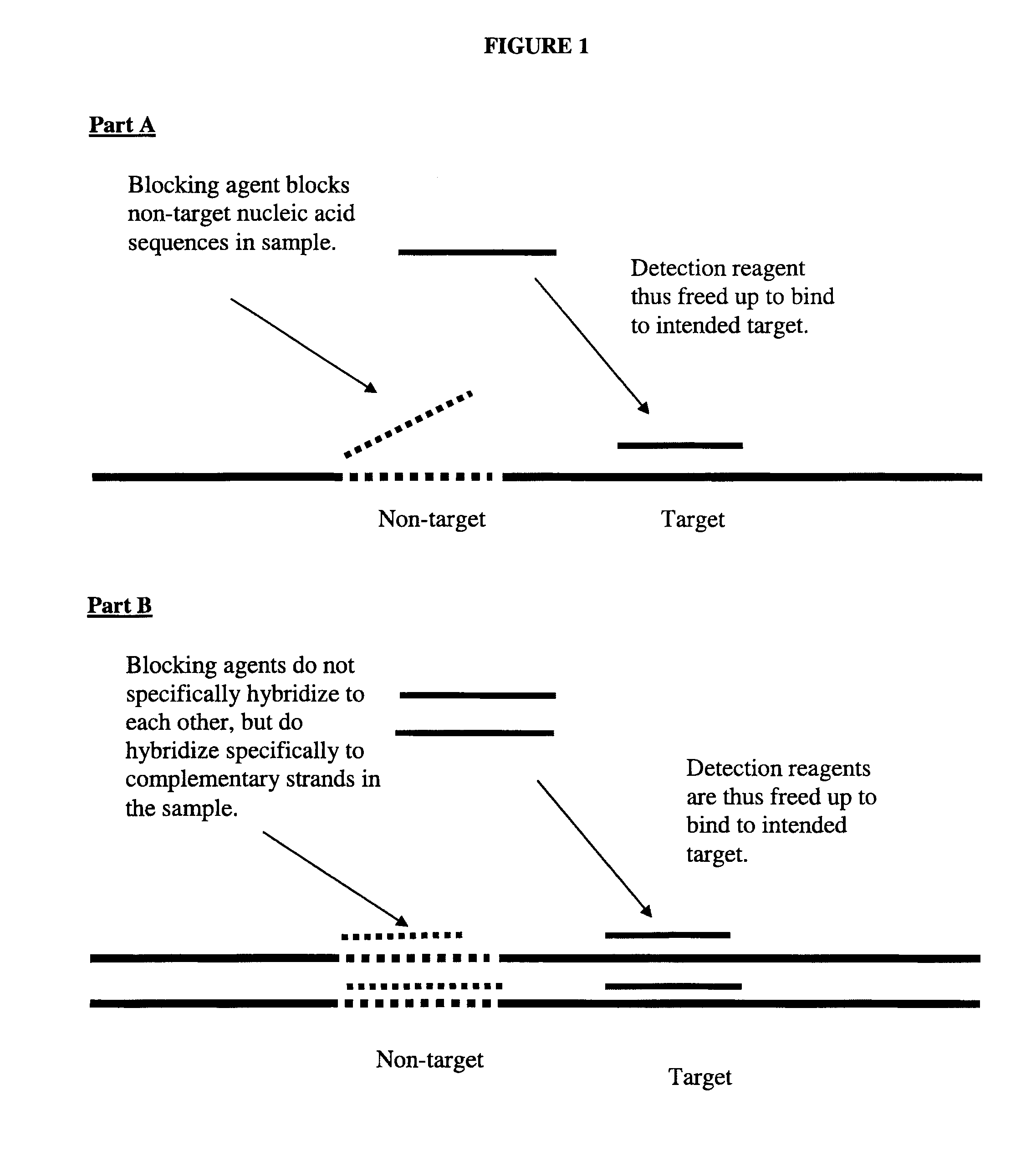 Blocking Agents Comprising Non-Natural Nucleic Acids and Detection Methods Using such Blocking Agents