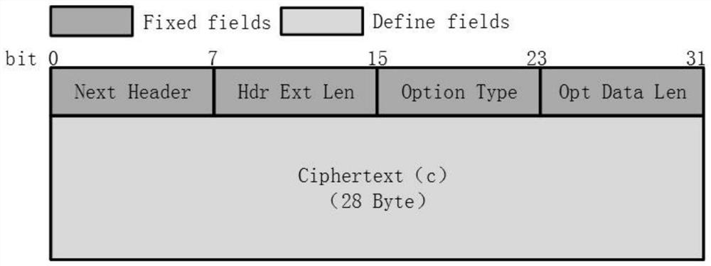 IPv6 option explicit source address encryption security verification gateway and verification method