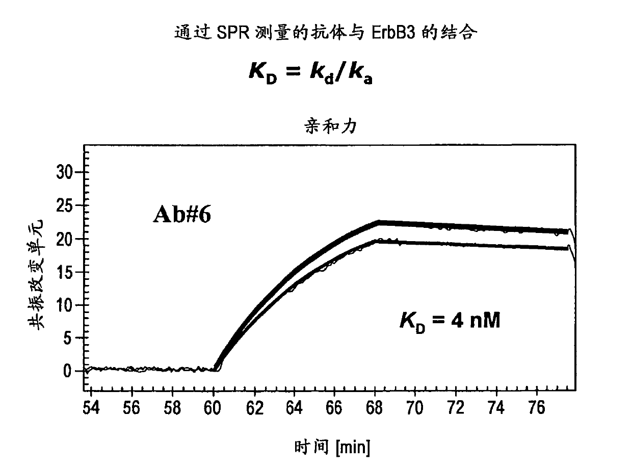 Antibodies against erbb3 and uses thereof