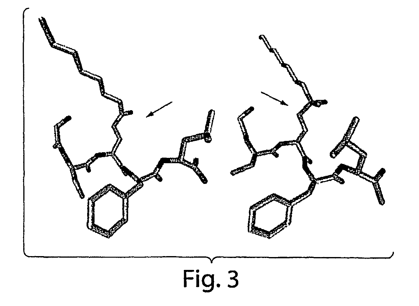 Isolated monoclonal antibody or antigen-binding fragment that cleaves octanoylated native ghrelin