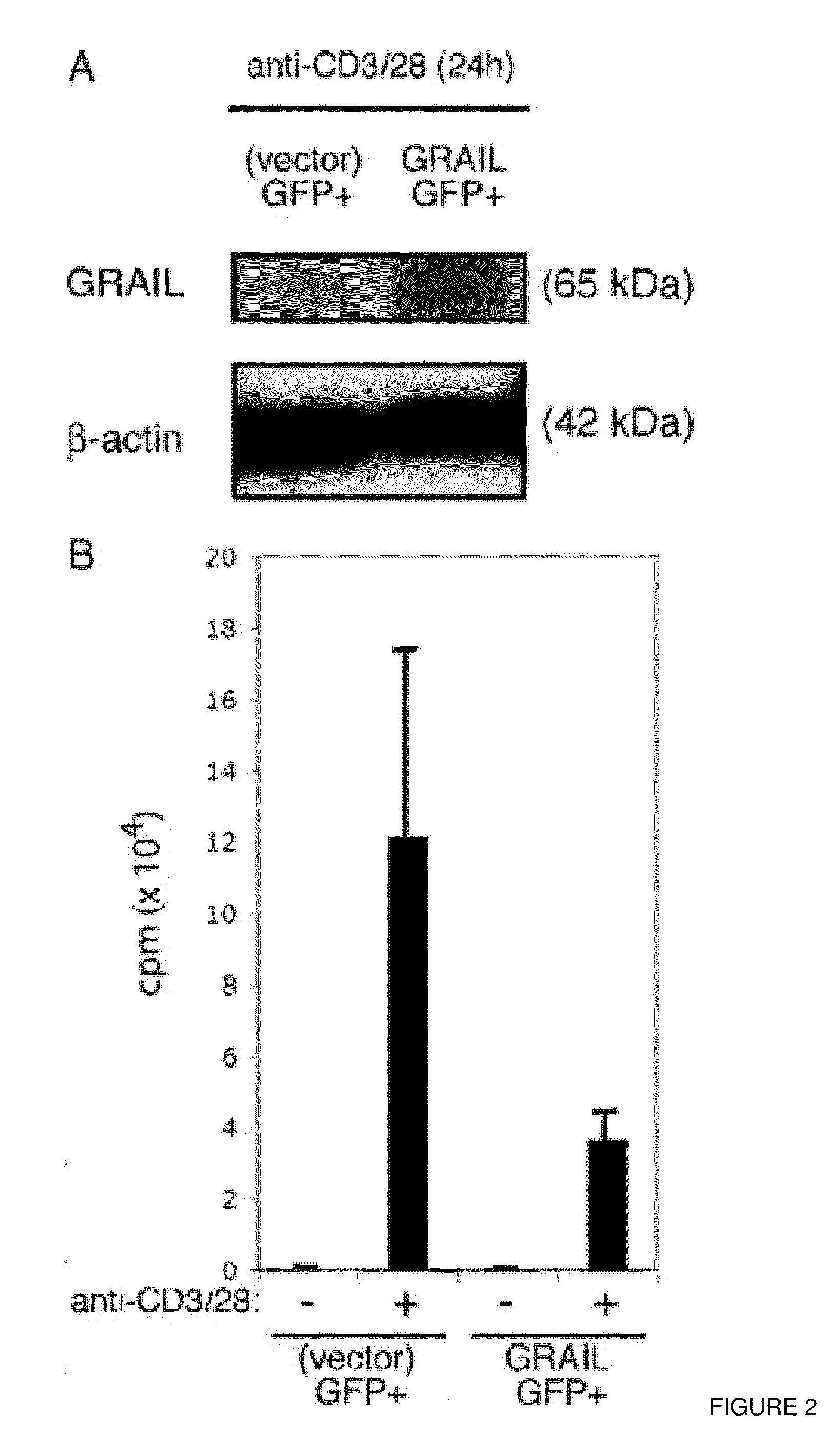 Combination therapy to inhibit t cell effector function