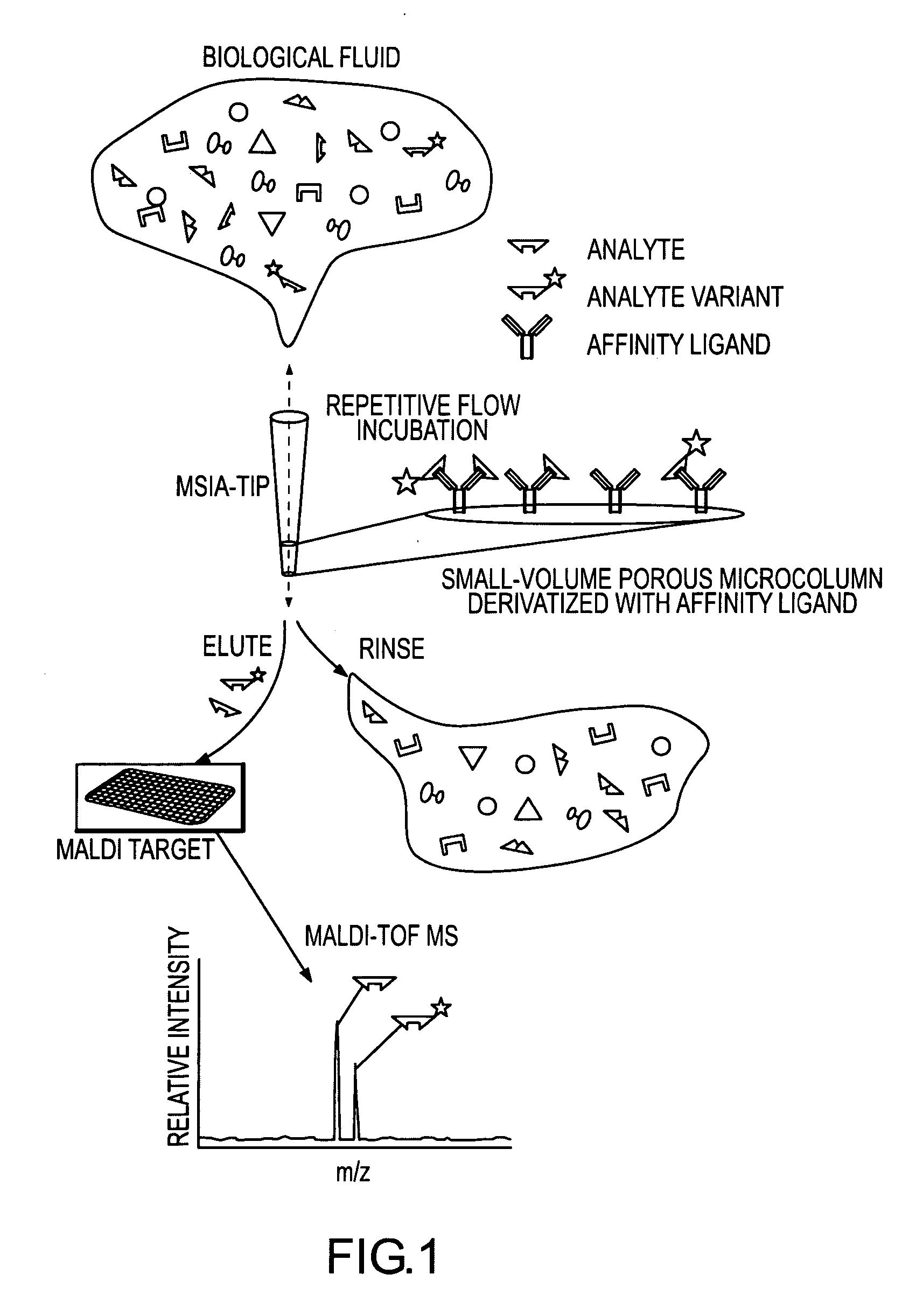 Analysis of proteins from biological fluids using mass spectrometric immunoassay