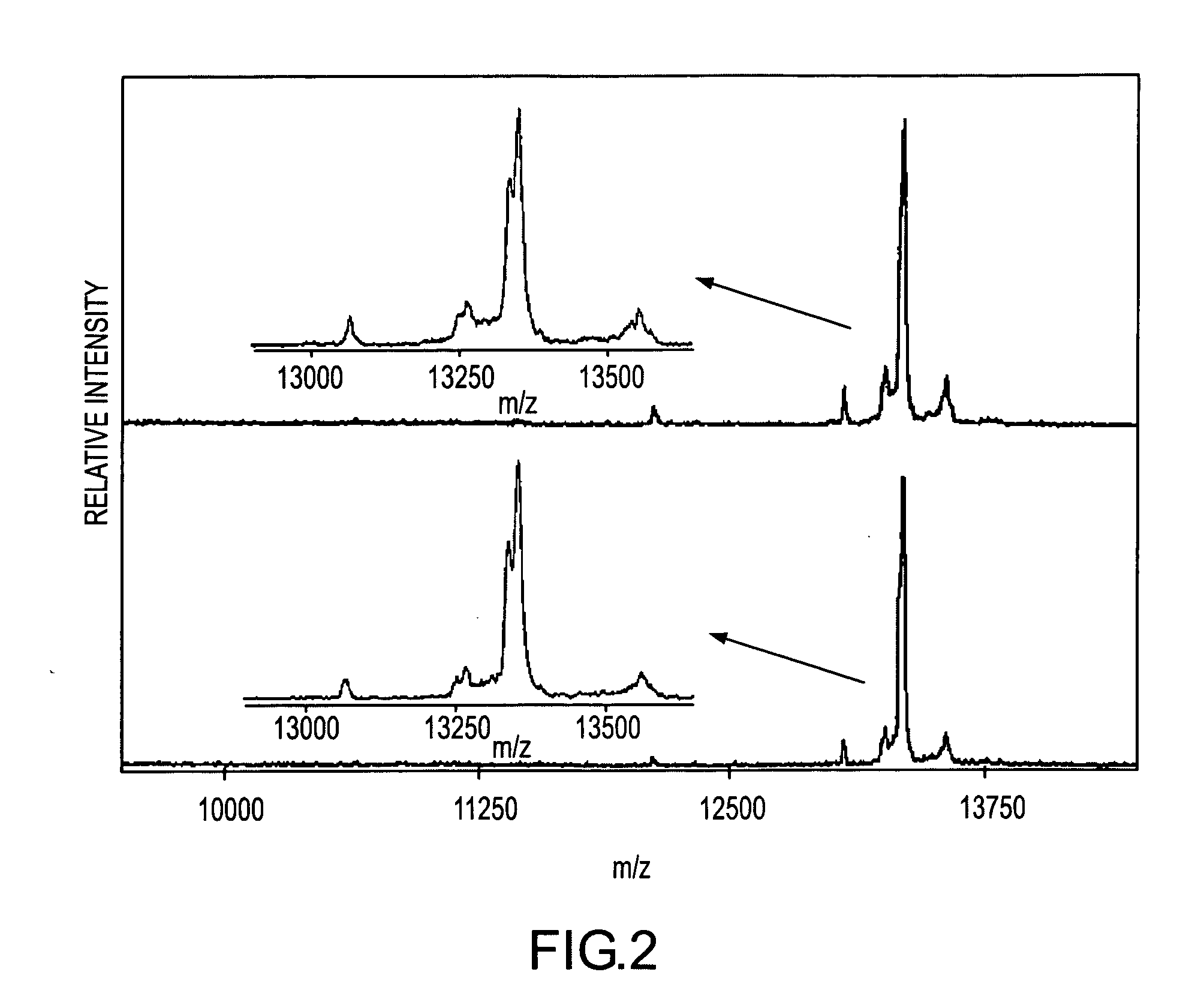 Analysis of proteins from biological fluids using mass spectrometric immunoassay