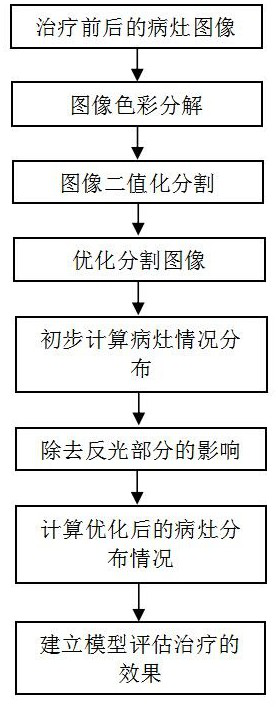 Skin pigment lesion treatment effect image processing method based on feature segmentation