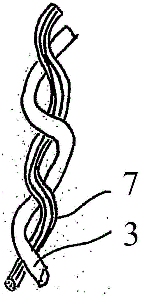 Co-extruded monofilament for disinsection as well as application and production method thereof and method for controlling movement of insecticide on co-extruded monofilament