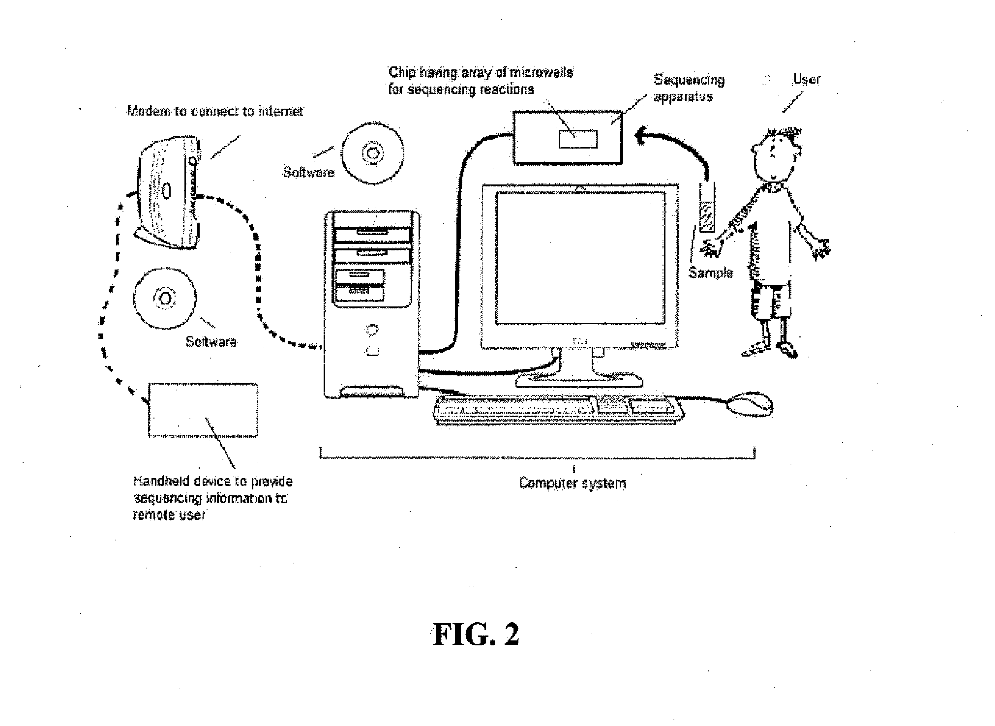 Methods and systems for phylogenetic analysis