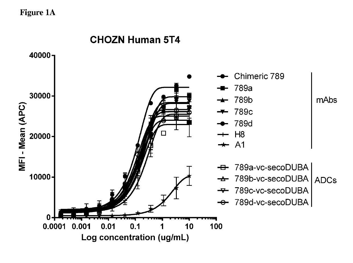 Anti-5t4 antibodies and antibody-drug conjugates