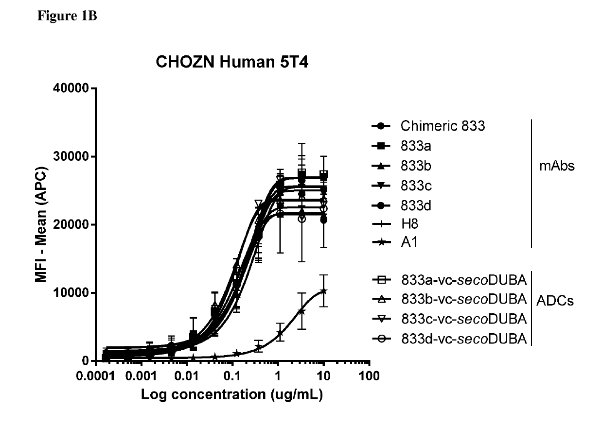 Anti-5t4 antibodies and antibody-drug conjugates