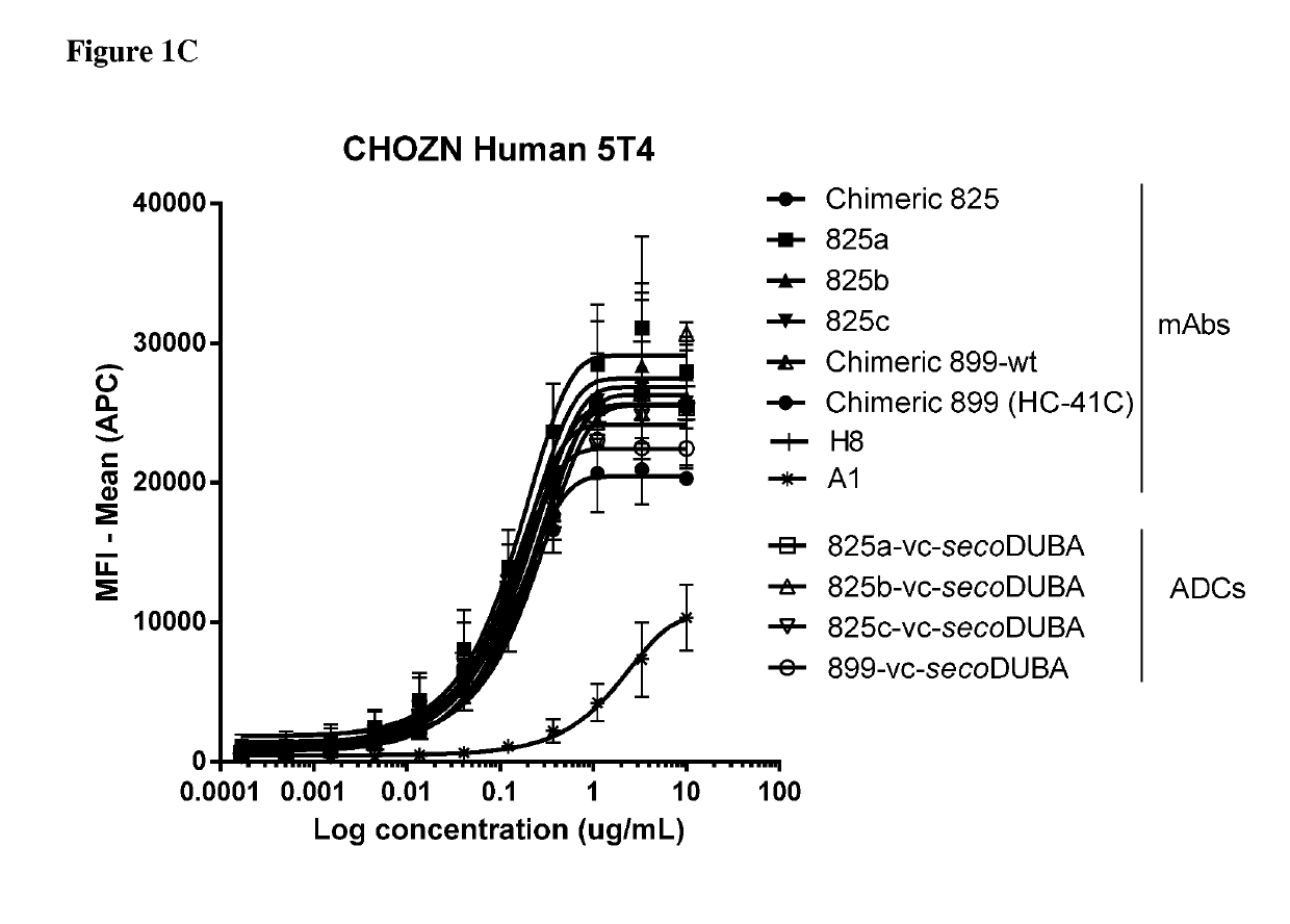 Anti-5t4 antibodies and antibody-drug conjugates