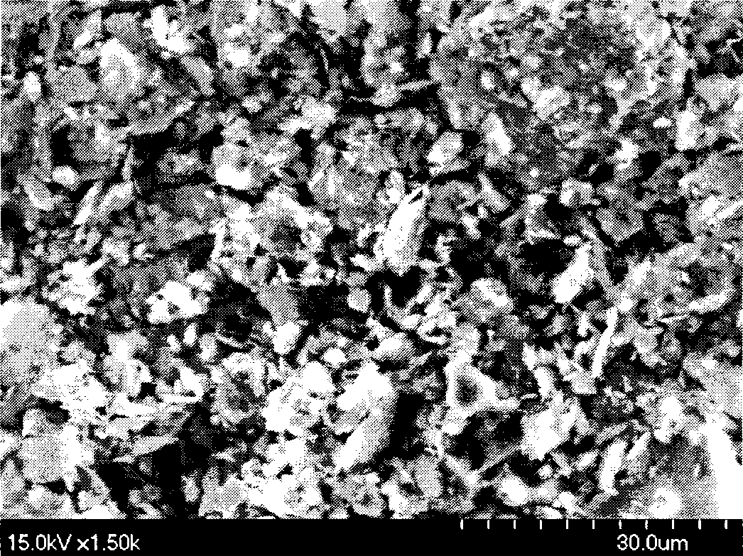 Novel absorption material and preparation method and use thereof