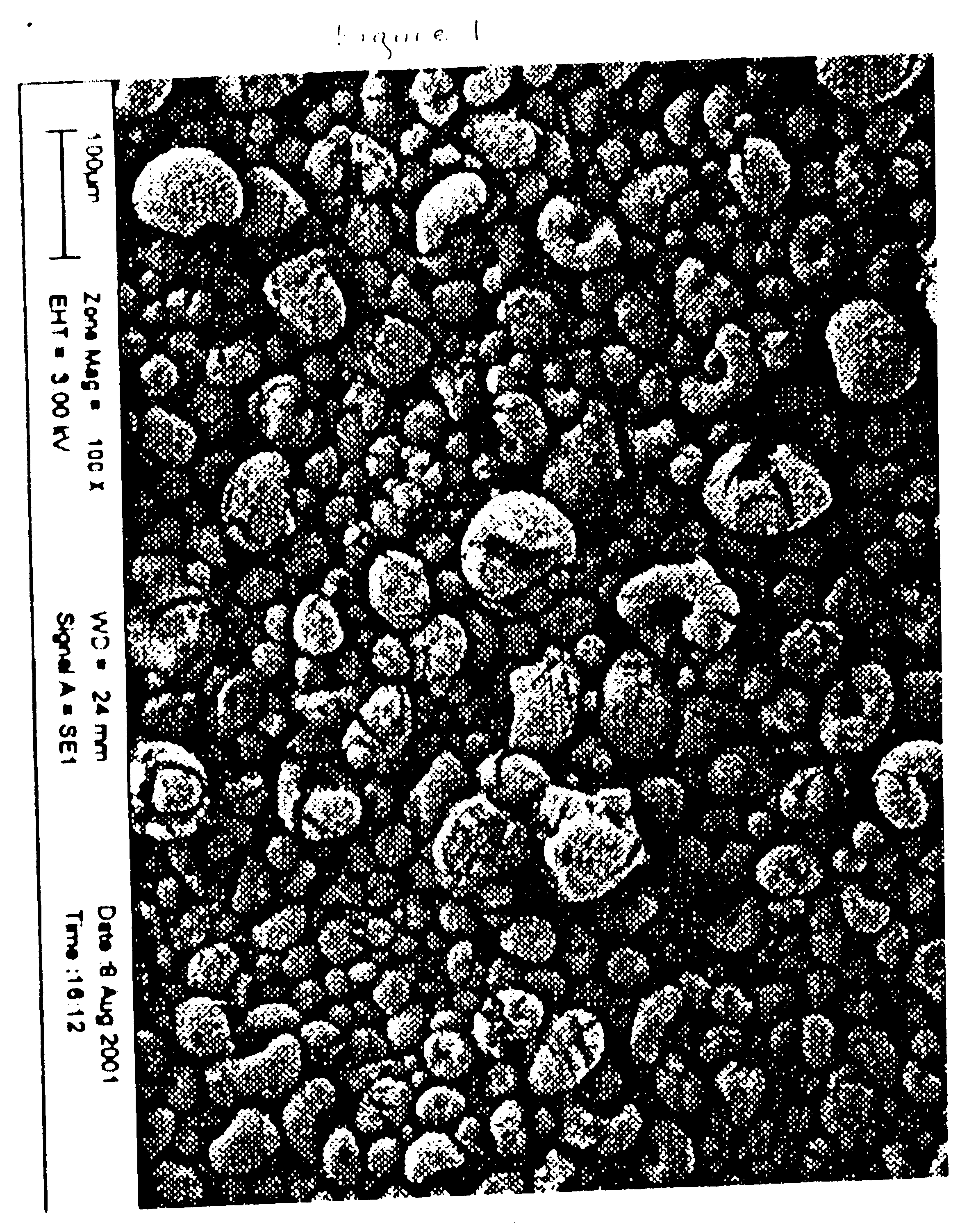 Fischer-tropsch catalyst prepared with a high purity iron precursor