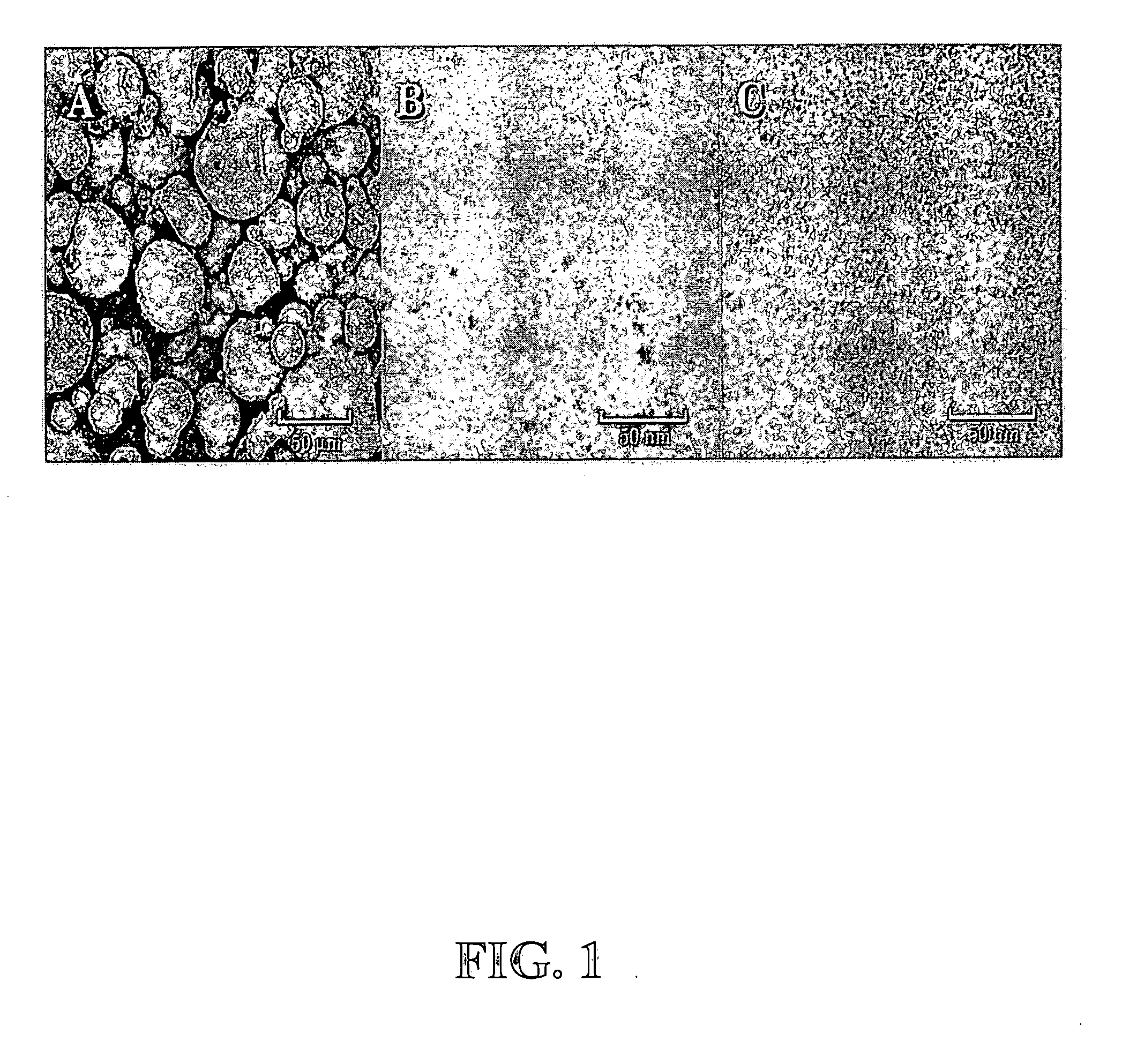 Food products containing partially and/or totally denatured milk proteins