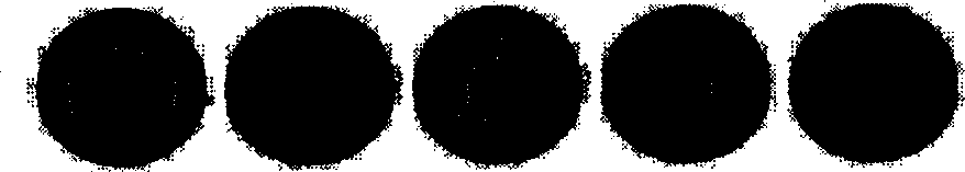 Method for calibrating camera and colour reference thereby