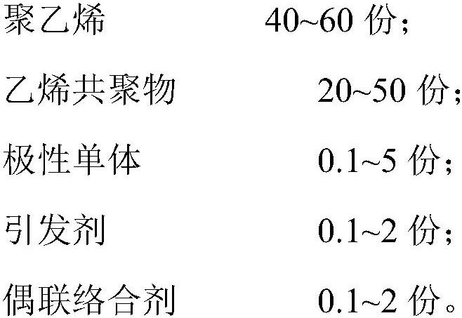 Compatible adhesive resin for PE and PA and preparation method of compatible adhesive resin