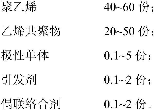 Compatible adhesive resin for PE and PA and preparation method of compatible adhesive resin